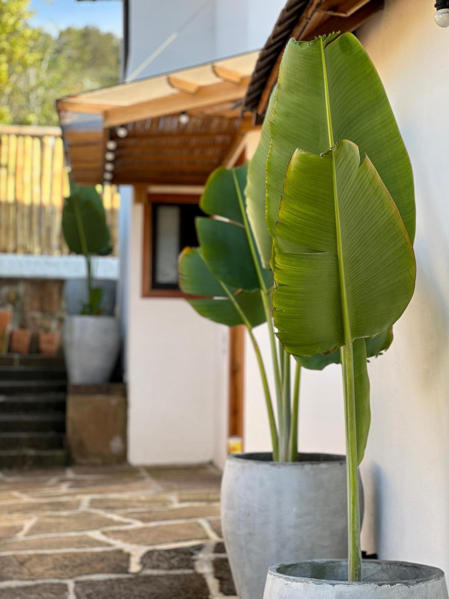 Hotel Campestre Palmas Del Zamorano サン・ヒル エクステリア 写真